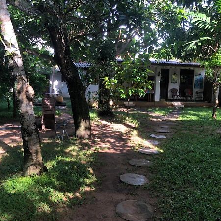 Sylvester Villa Hostel เนกอมโบ ภายนอก รูปภาพ