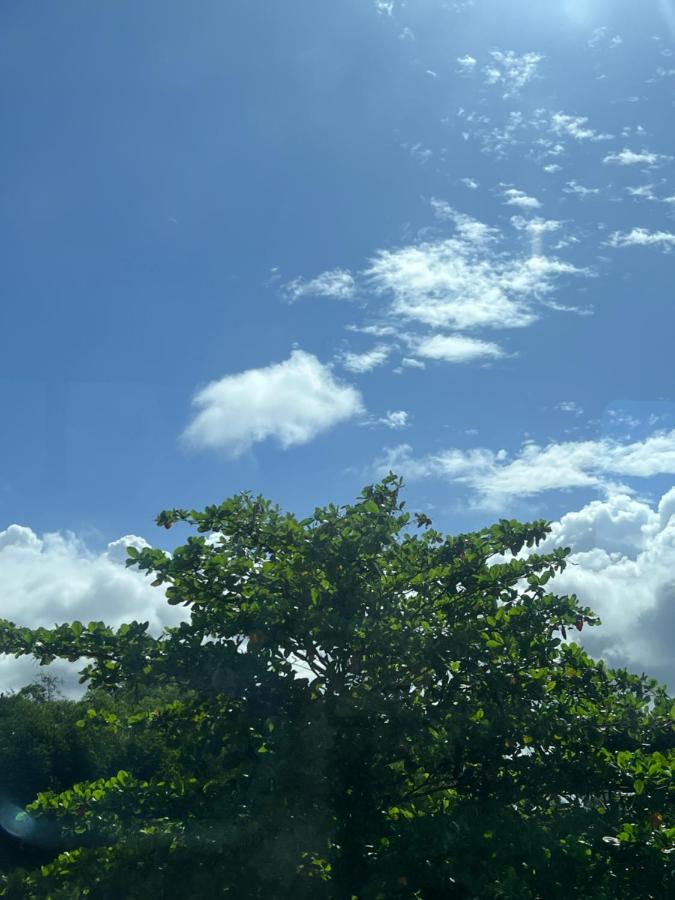 Sylvester Villa Hostel เนกอมโบ ภายนอก รูปภาพ