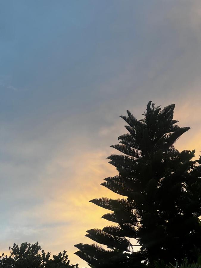 Sylvester Villa Hostel เนกอมโบ ภายนอก รูปภาพ