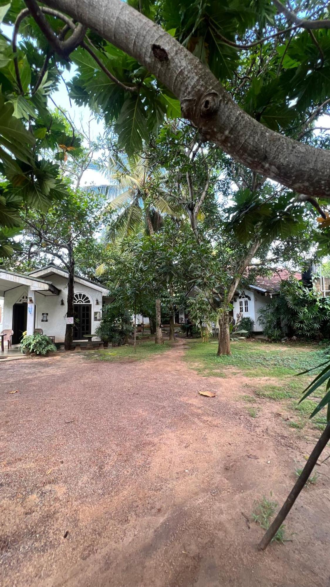 Sylvester Villa Hostel เนกอมโบ ภายนอก รูปภาพ