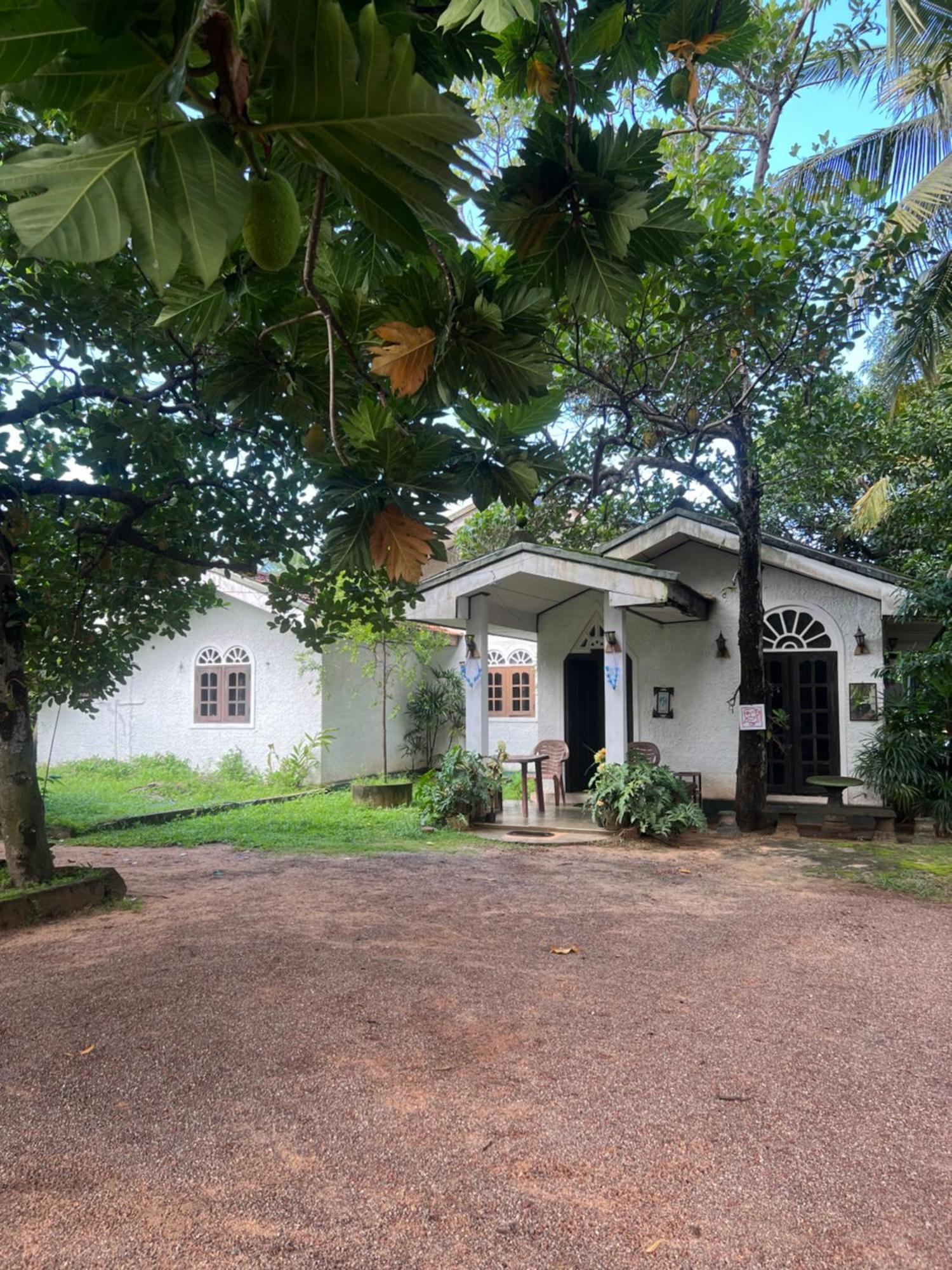 Sylvester Villa Hostel เนกอมโบ ภายนอก รูปภาพ